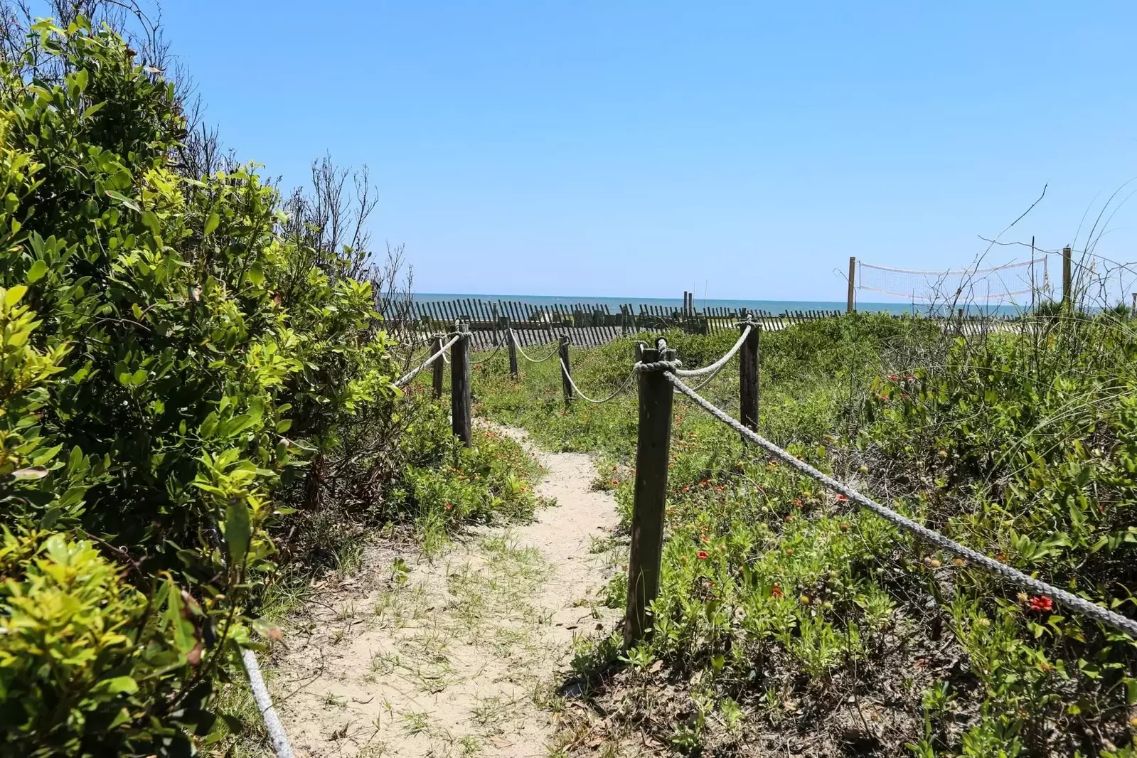 Just follow this trail through the sand dunes to the beach!