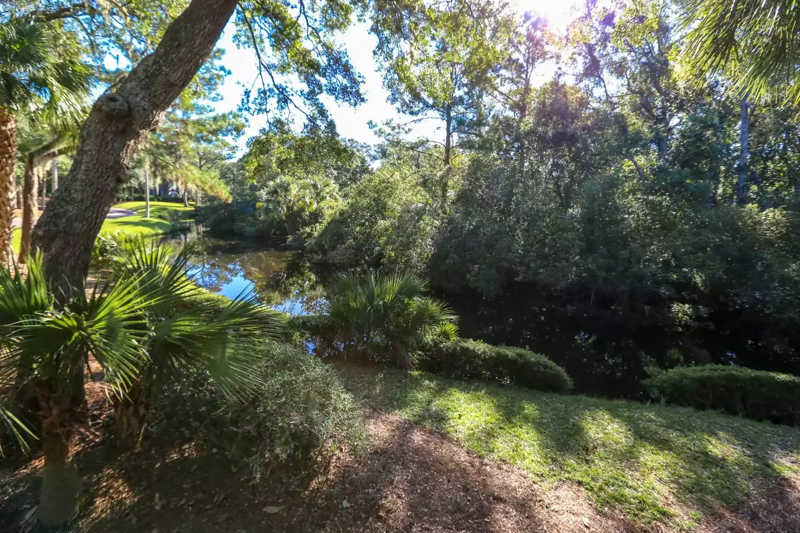 Take in the gorgeous lagoon view but keep an eye out for deer & alligators who love to inhabit this area.