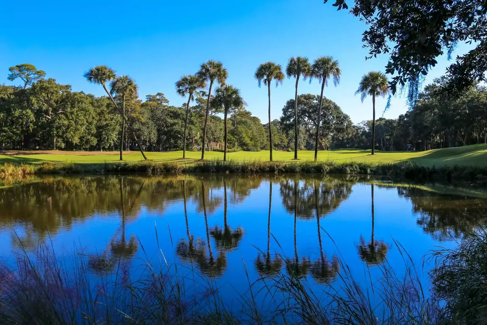 It is hard not to relax in Kiawah's beautiful, park-like nature setting.