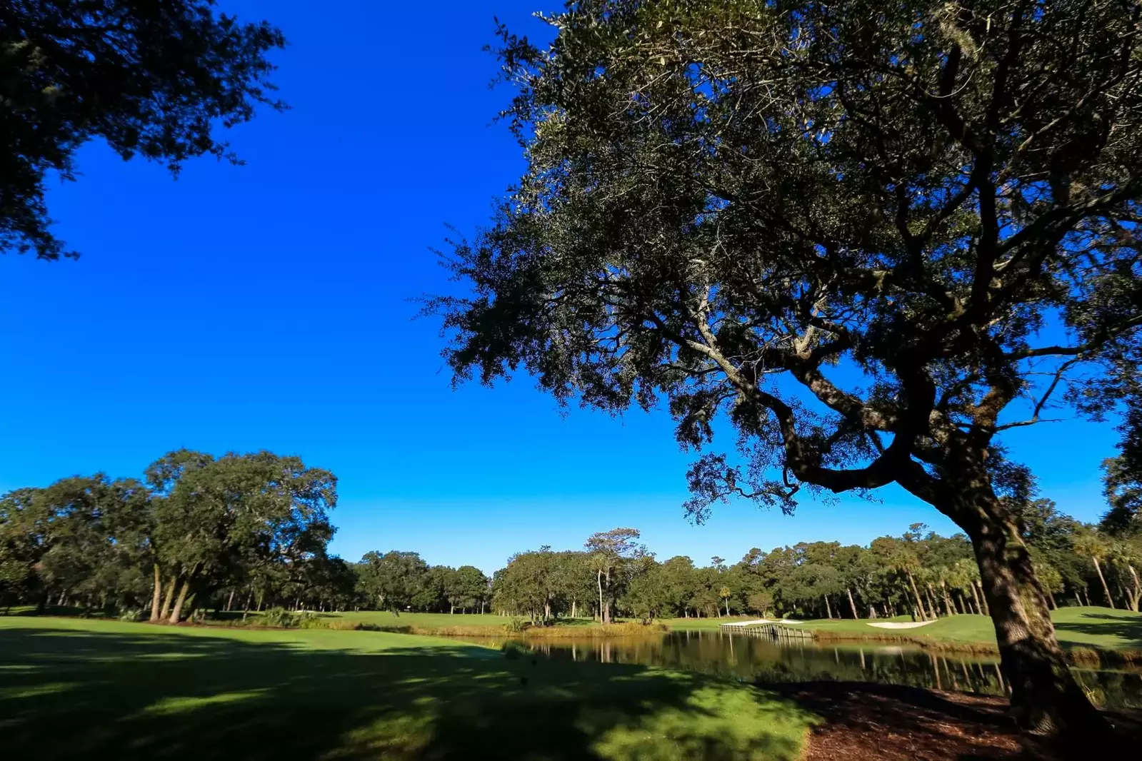 Kiawah Island is home to five pristinely-kept, championship golf courses.
