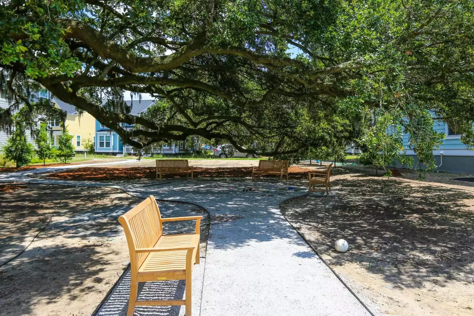 Sit in the adjacent park and read book under the Live Oak tree!