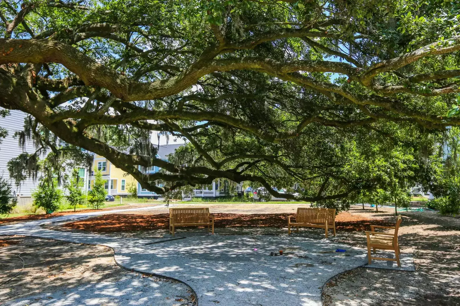 The tree provides natural shade! Sit on a bench seat and meet the neighbors!