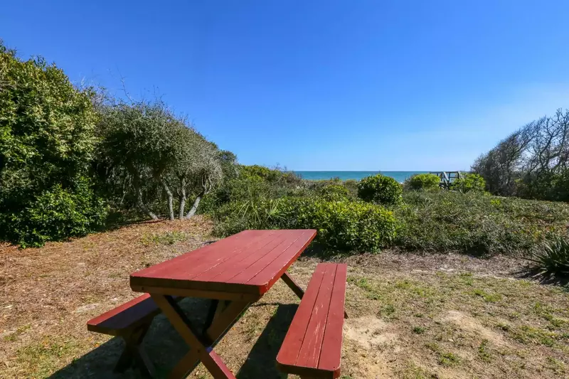 Gather the kids up off the beach for a picnic lunch in the backyard.
