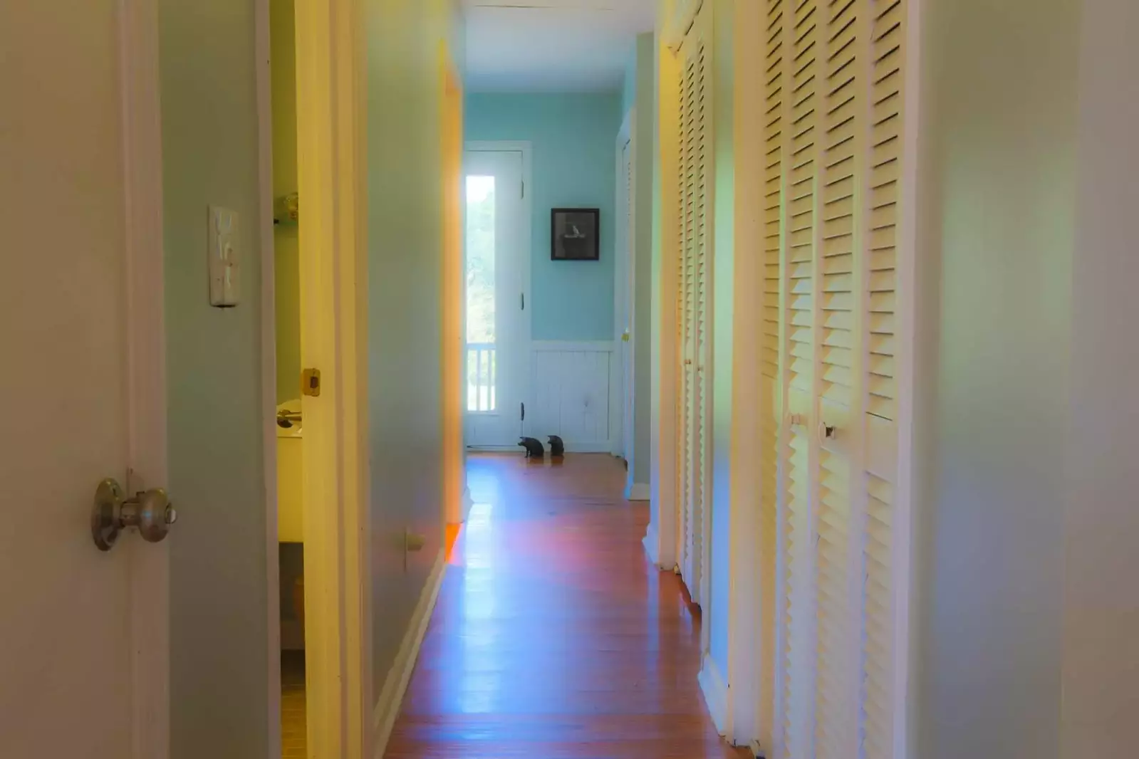 The hallway to the bedroom and bathroom connects to the back door of the house.