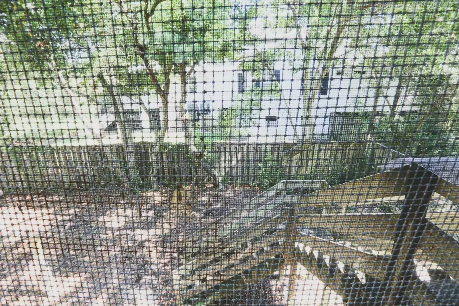 Dogs love our fenced dog run area!