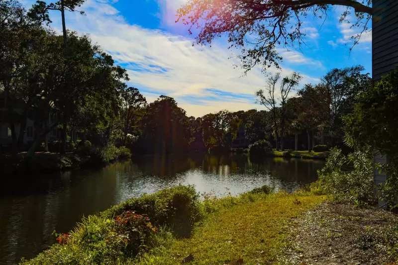 The lagoon provides a perfect opportunity for spotting birds, alligators, deer, frogs & other Kiawah wildlife.