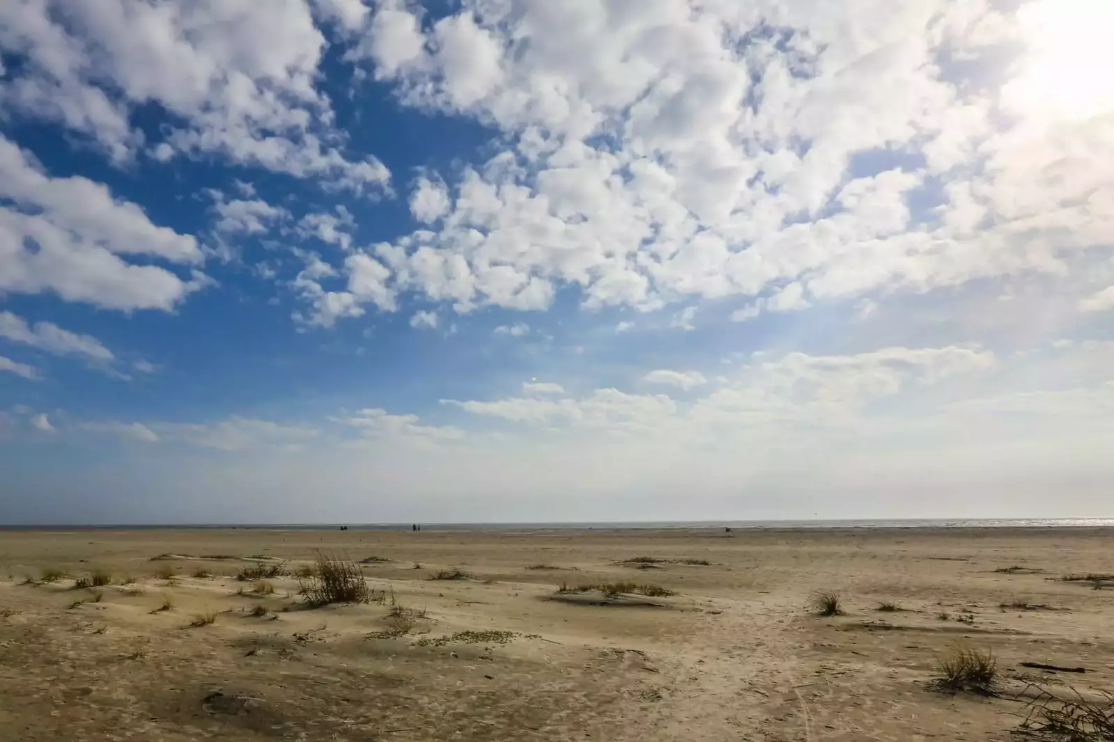 The Tidewater community sits on a quiet portion of the Wild Dunes beach away from the hustle & bustle of the main strip.
