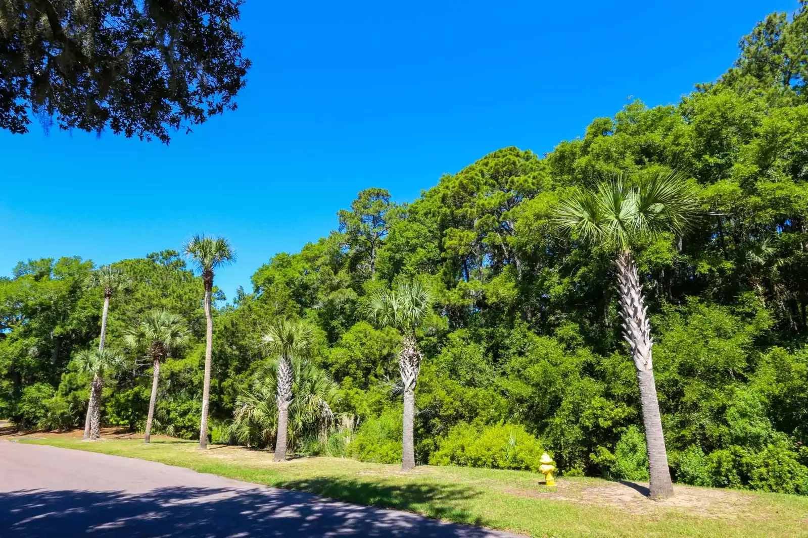 The walk to the beach is a pleasant one. Look out for birds and deer!