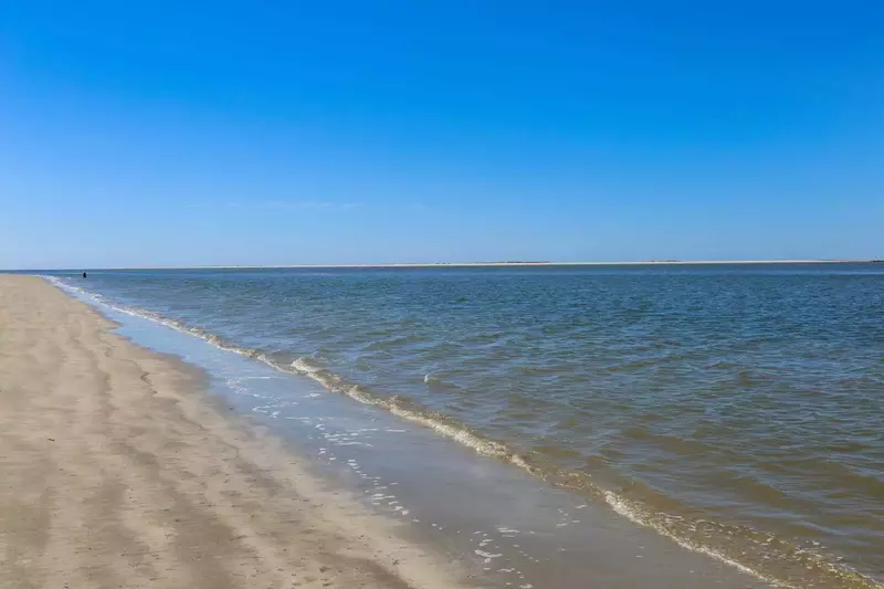 What's this guy doing on my beach????