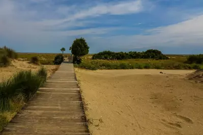Follow this beautiful boardwalk to the Ocean Point beach access point.