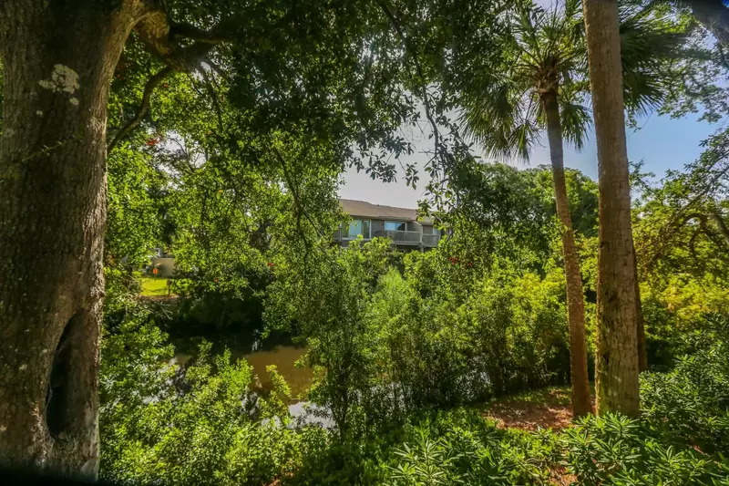 Charburgh Yacht Club guests are treated to a symphony of sounds from the coastal breezes, cicadas, tree frogs & birds.