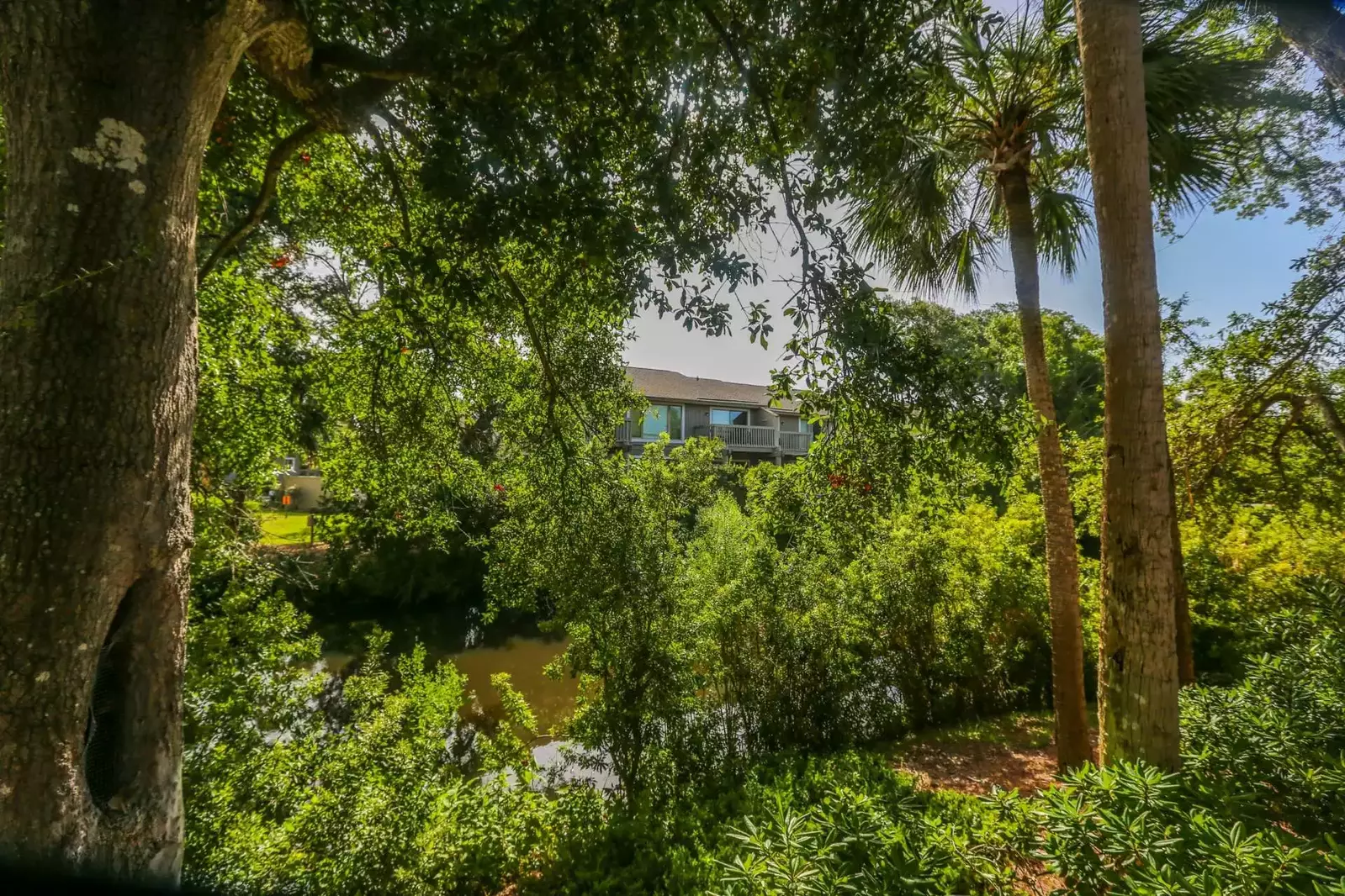 Charburgh Yacht Club guests are treated to a symphony of sounds from the coastal breezes, cicadas, tree frogs & birds.