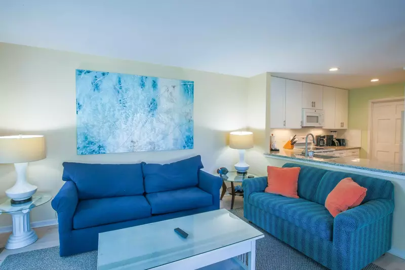 There are two comfortable sofas in the living room -- the solid blue sofa is a queen size sleeper sofa.