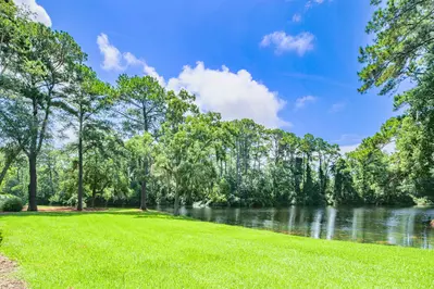 The lagoon is lined with a mix of Spanish moss-draped live oak trees, pine trees and other native Lowcountry trees.