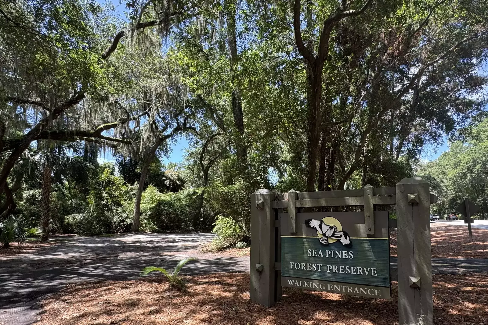 Lake Forest is just a stone throw away from the Sea Pines Forest Preserve.
