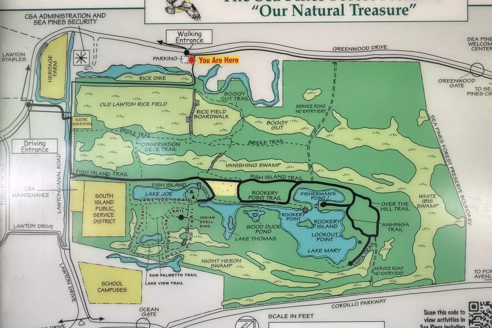 So many great trails for you to explore within the Sea Pines Forest Preserve.