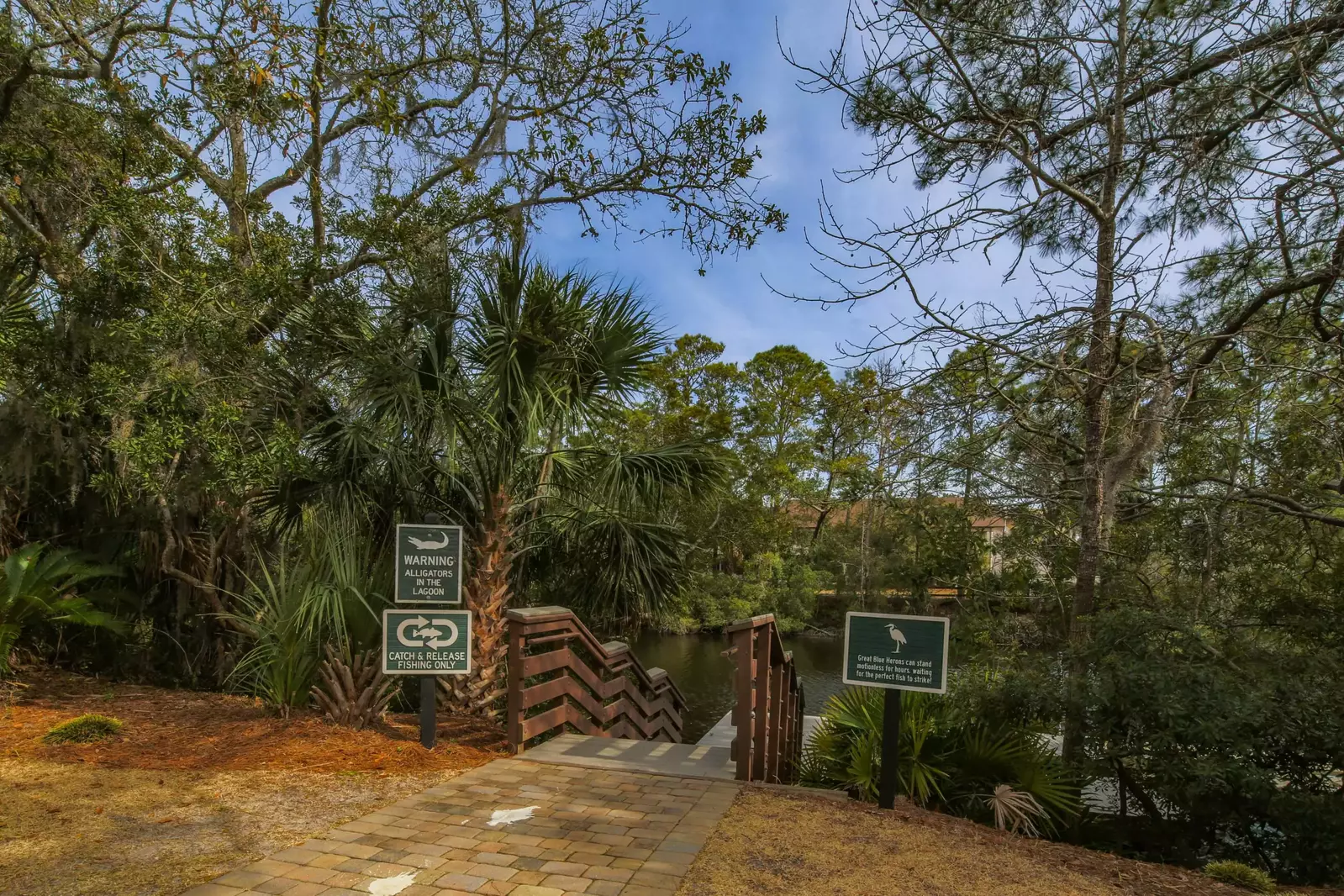 Bring your rod n reel for some fishing in the resort waterways