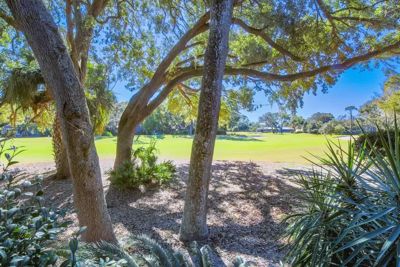 The villa is surrounded by palmetto trees, live oak trees and other Lowcountry vegetation.