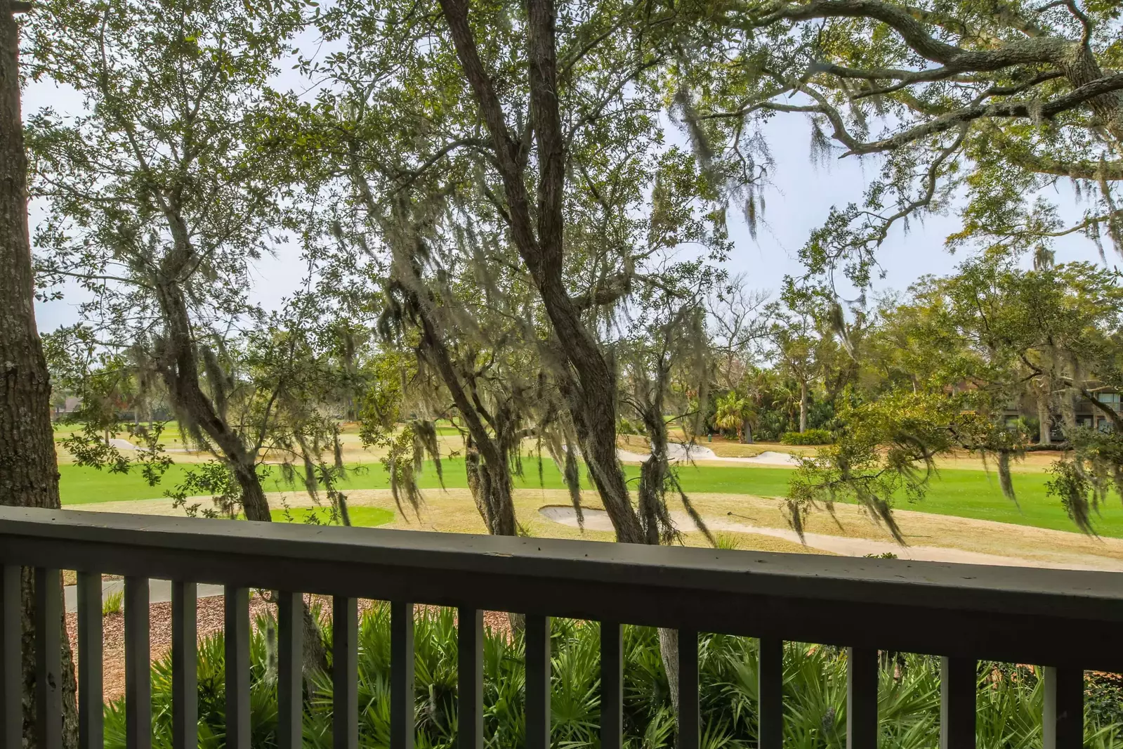 A mix of live oak trees with Spanish moss and saw palmetto shrubs line the golf course.