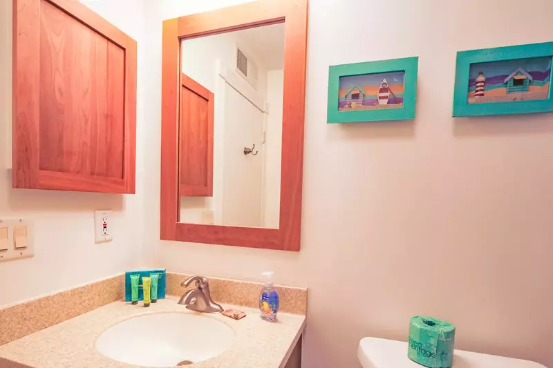 The en suite bathroom has a vanity and medicine cabinet.