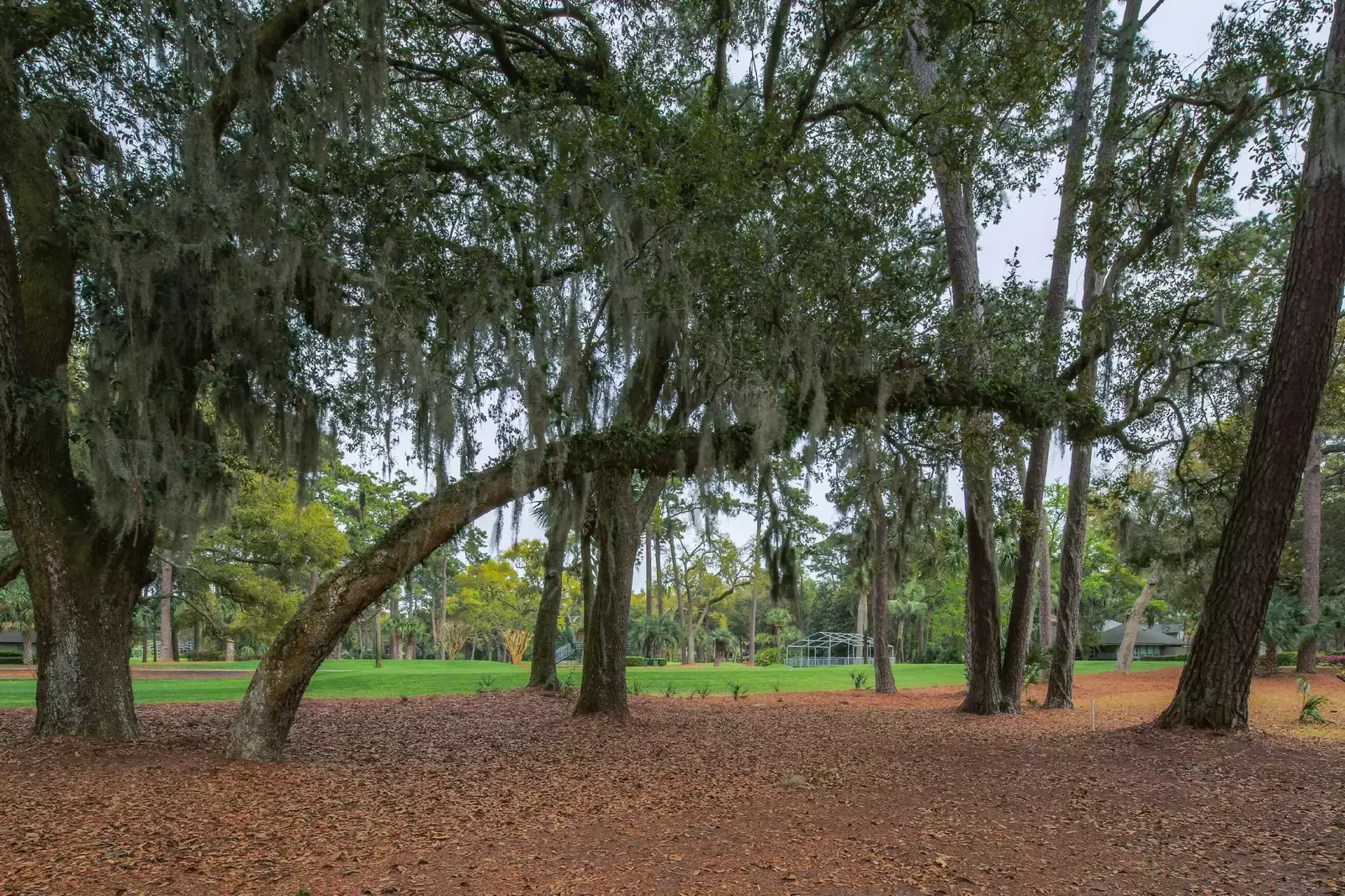 The back of the house looks out onto the 8th hole of Harbour Town Golf Course.