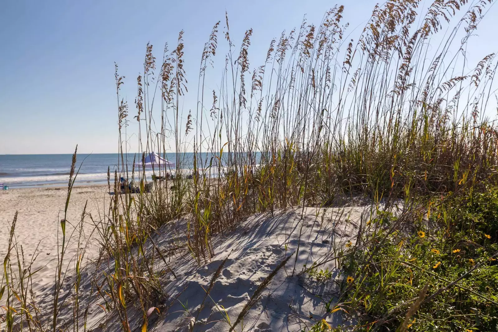 Ahh....the beach.  Why people come year after year to enjoy the tranquility and serenity.
