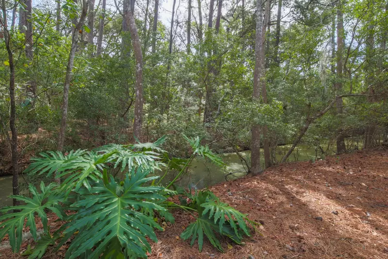 There is a creek that runs along the back edge of the yard.