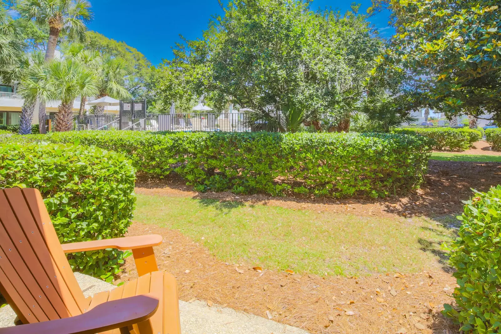 The community pool is located just beyond these shrubs.