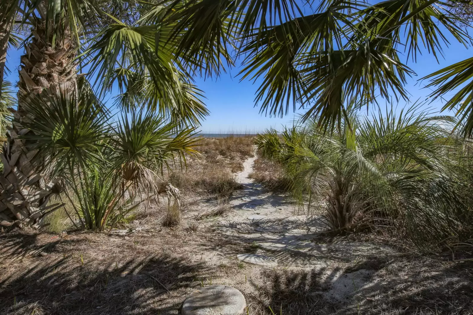 The sand dunes are lined with lush Lowcountry trees, including palmetto trees & palms.