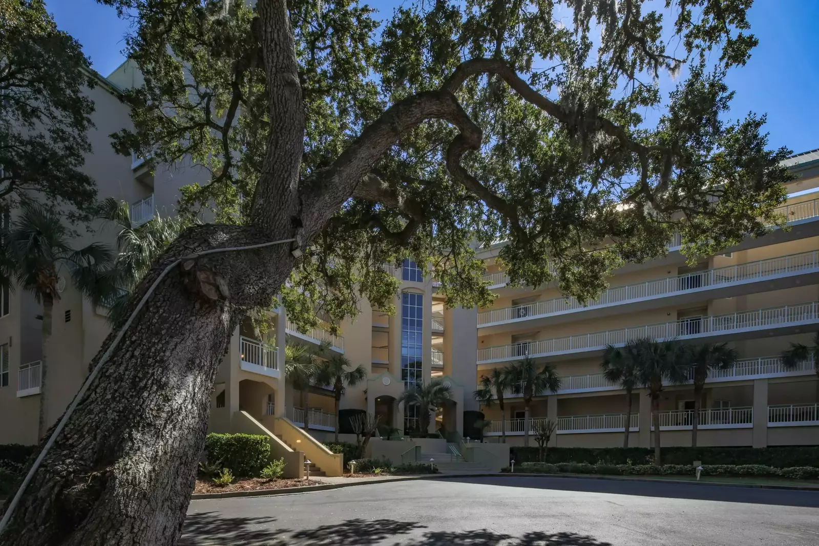 Green Sea Turtle is located within the Windsor Place II complex.