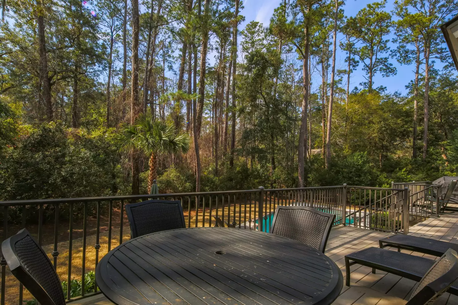 The backyard is lined with palmetto trees, pine trees, live oak trees and other Lowcountry trees.