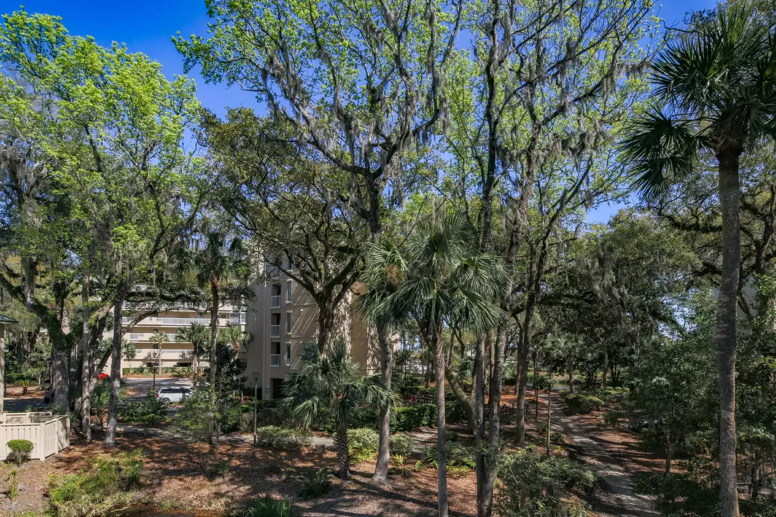 Follow this wooded pathway to the community pool and beach access point.
