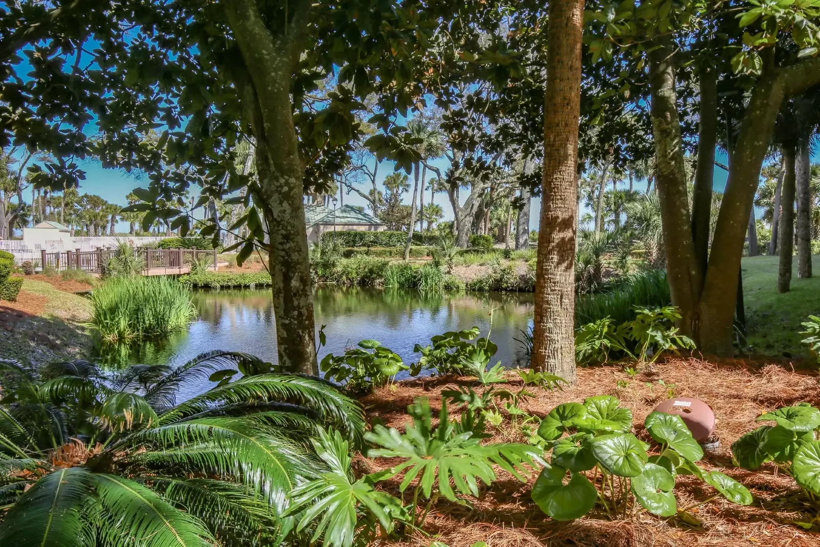We'd love to host your family's next Hilton Head Island getaway!
