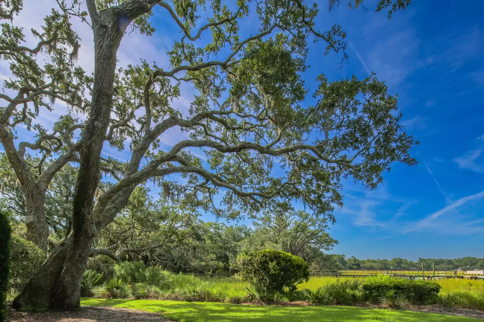 The landscaped area behind the villa features live oak trees and other Lowcountry trees.