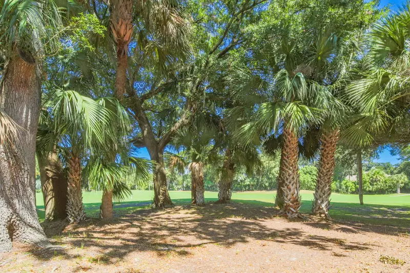We still swoon over the palmetto trees, live oak trees and other Lowcountry semi-tropical trees that surround the villa.