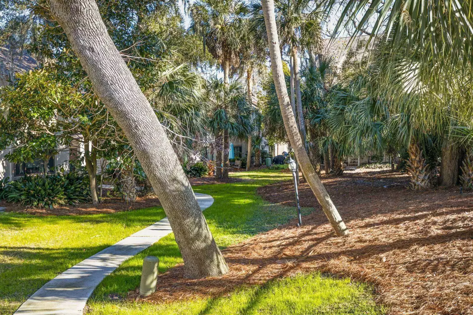 Path leading to the pool