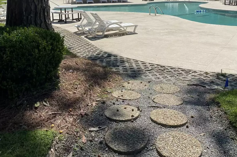 The Nest at Port Royal #1326