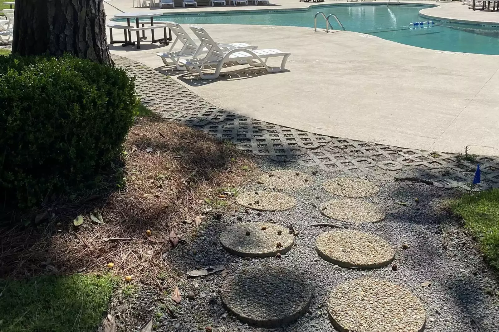The Nest at Port Royal #1326