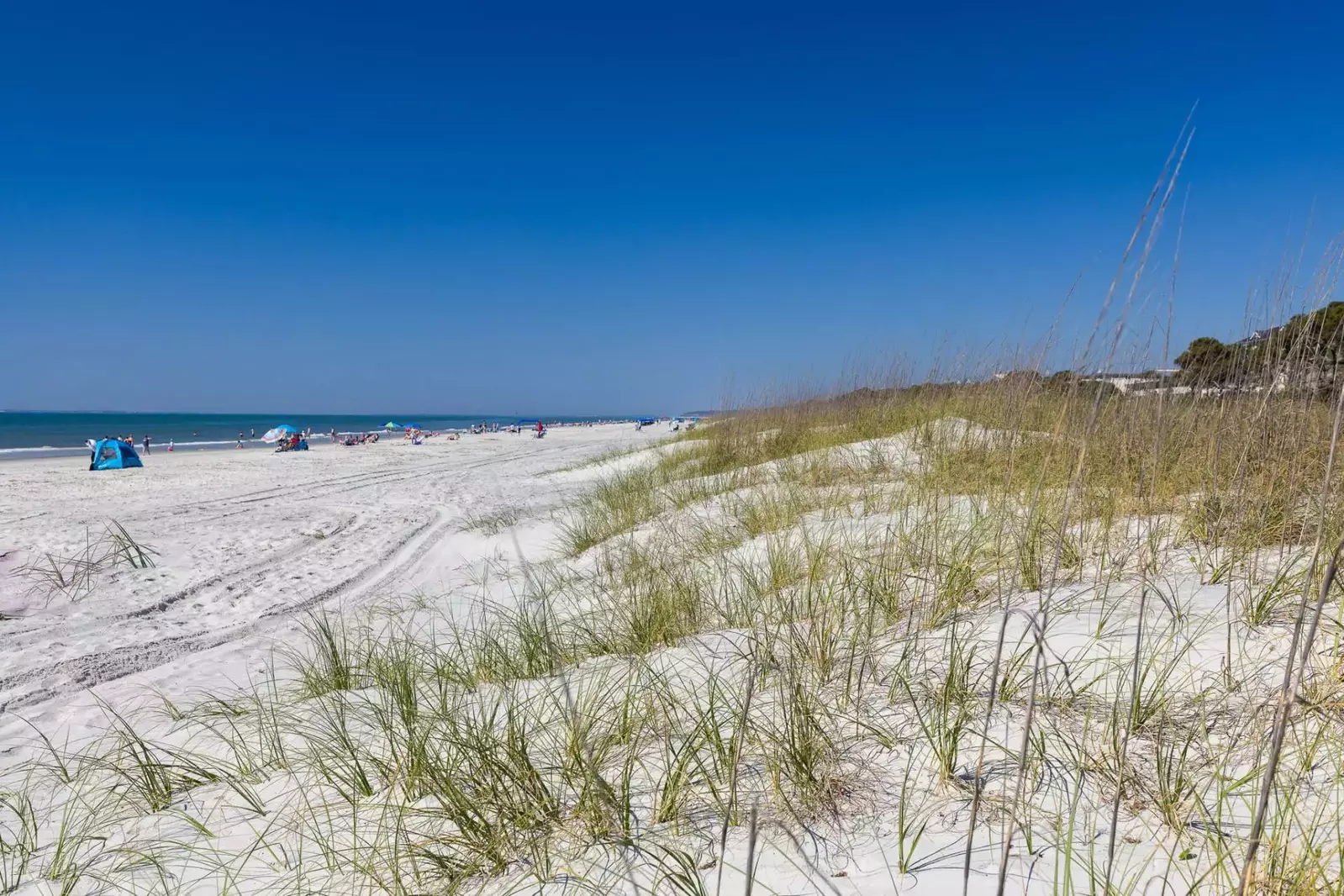 It's all about the Beach