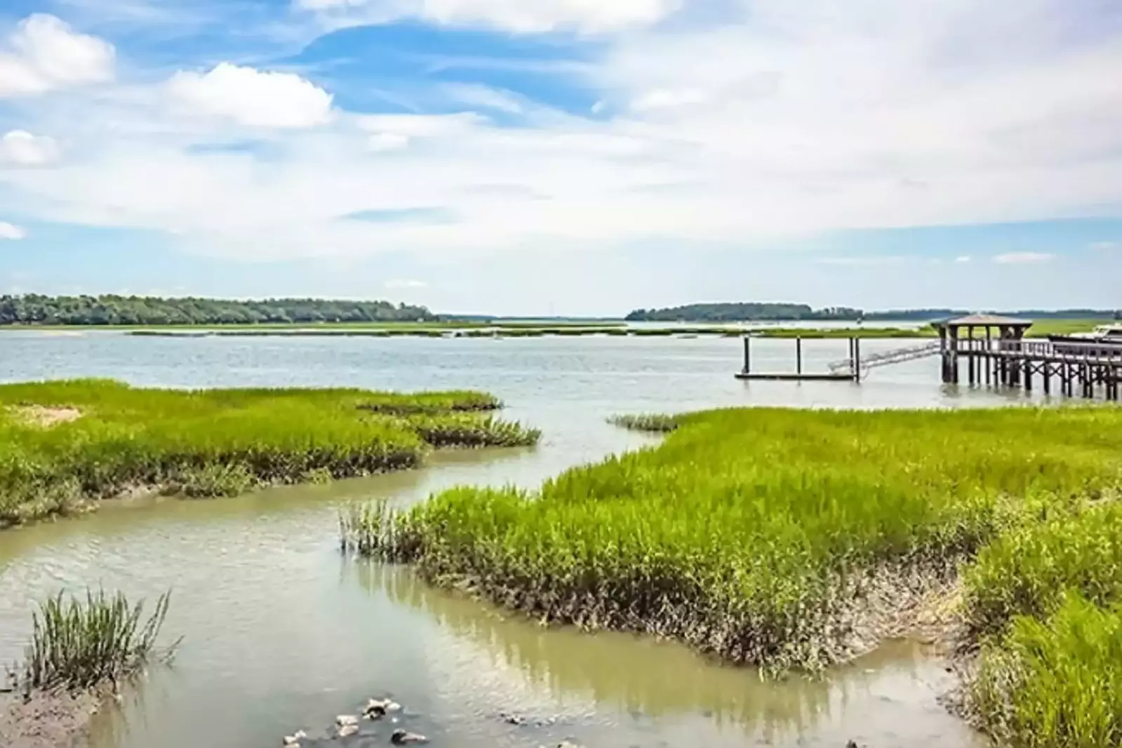 Low coastal views from the May River