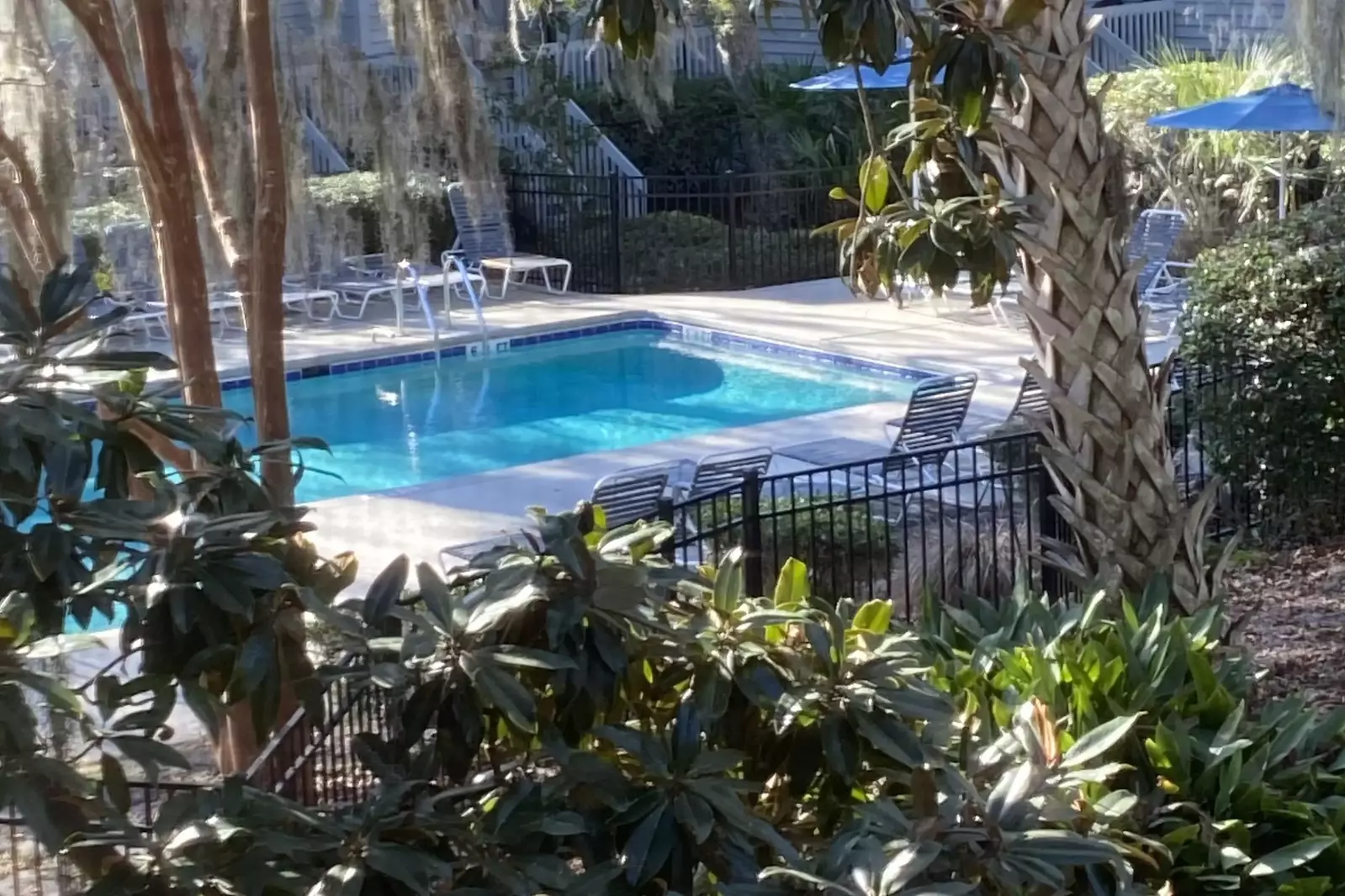 Pool view from screened in porch
