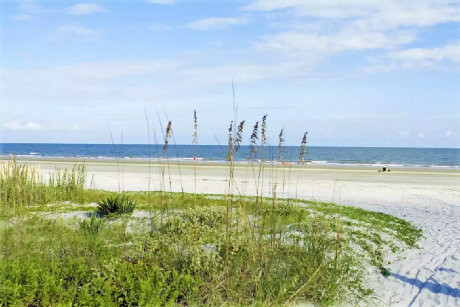 The Beautiful Beach