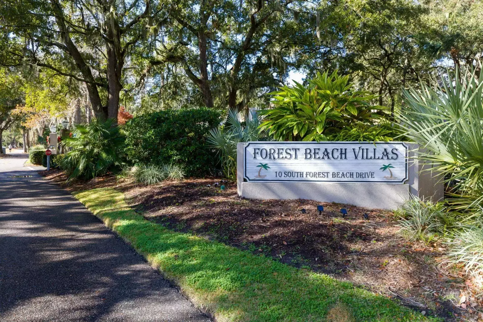 Welcome to Forest Beach Villas