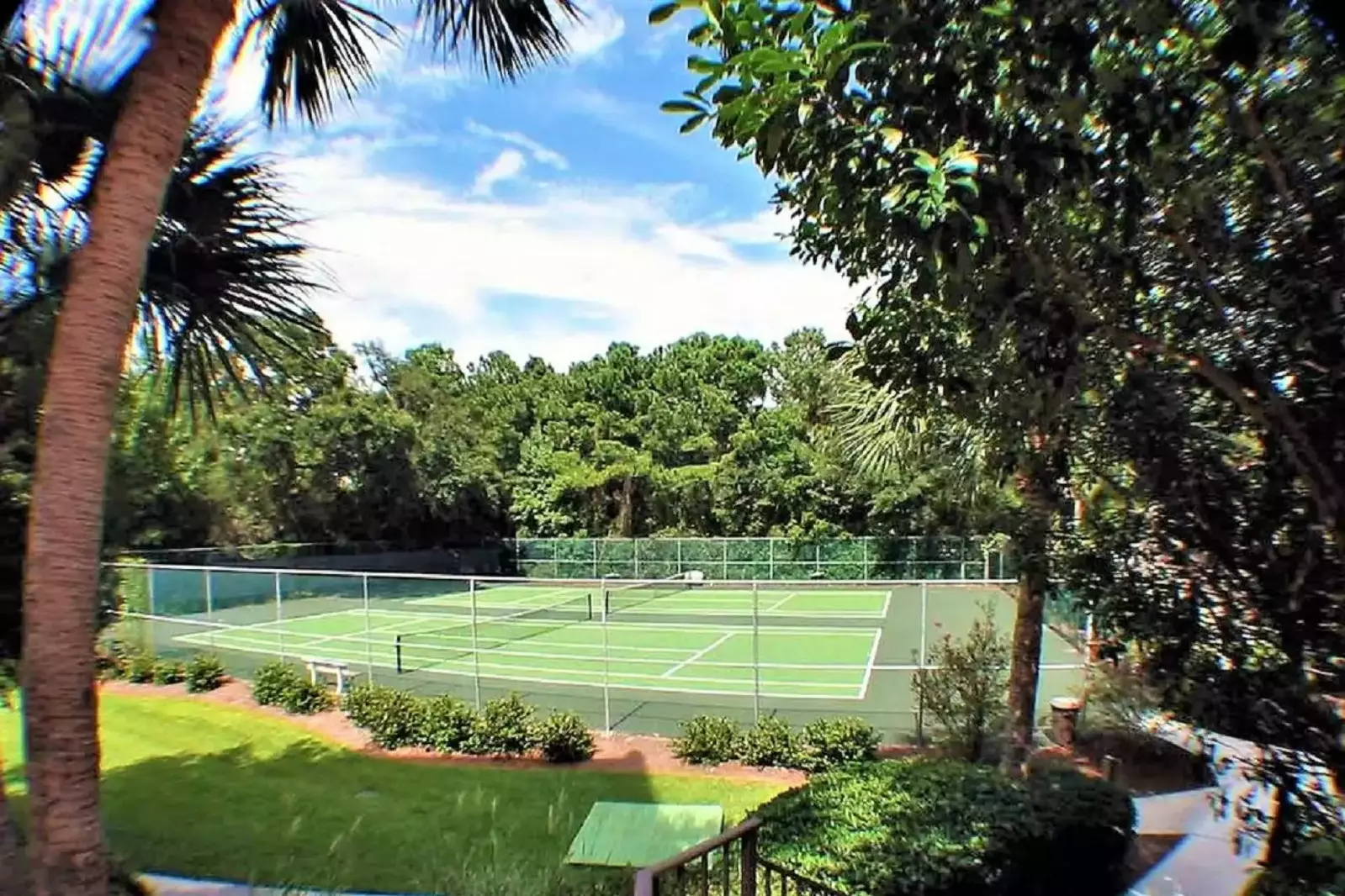 Tennis anyone?