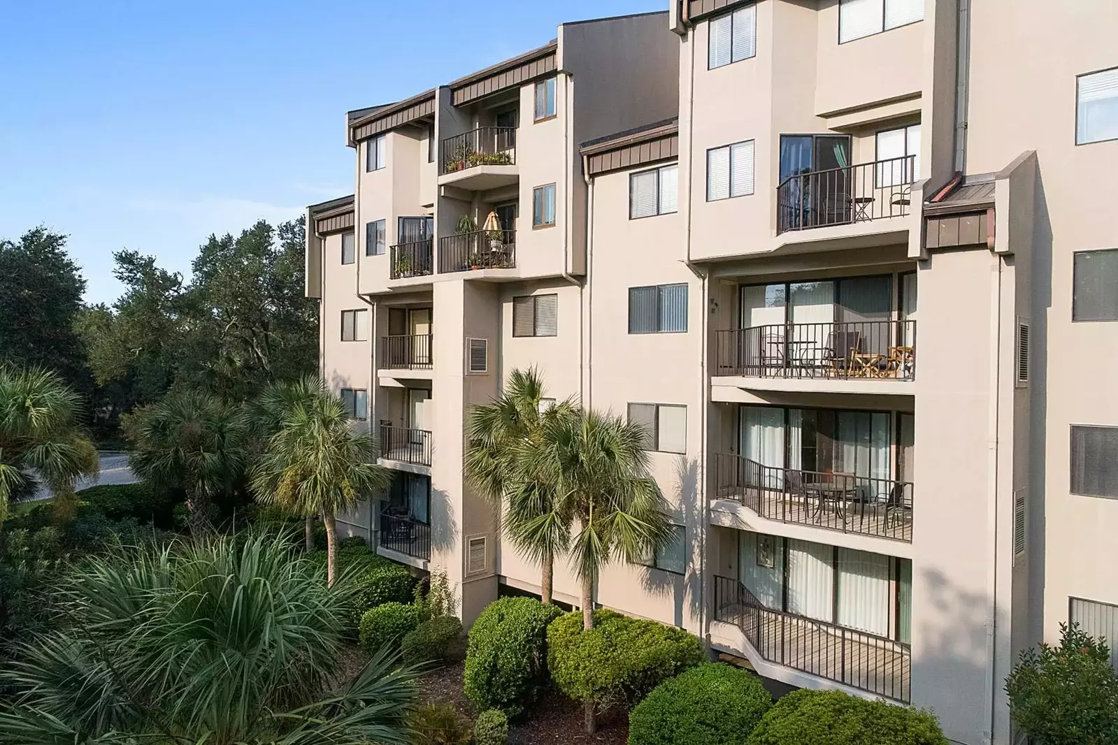 Situated above the Palm Trees