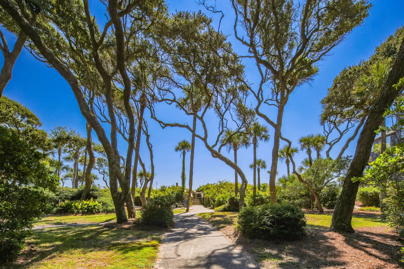 The boardwalk at the end of the sidewalk takes you over the sand dunes and onto the beach.
