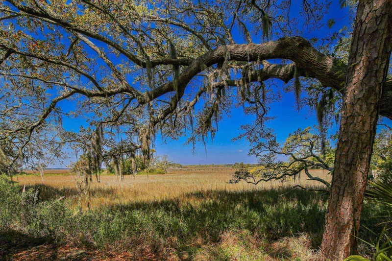 It is hard not to fall in love with the Lowcountry marsh, live oak trees and Spanish moss.
