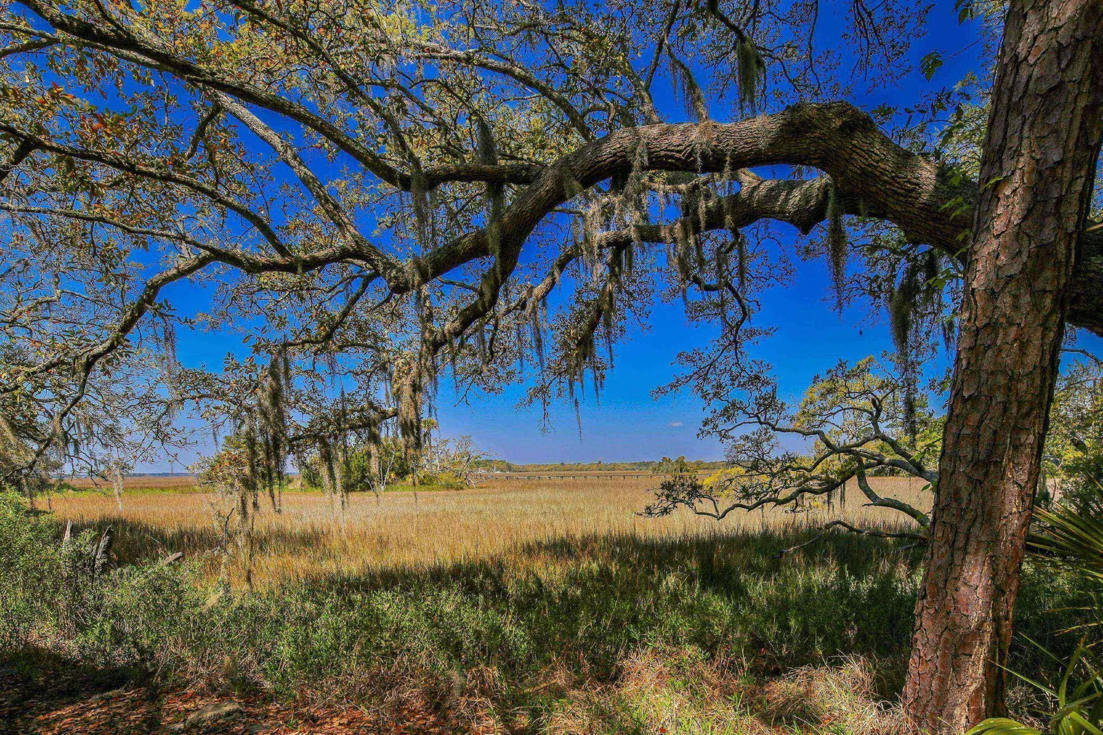 It is hard not to fall in love with the Lowcountry marsh, live oak trees and Spanish moss.