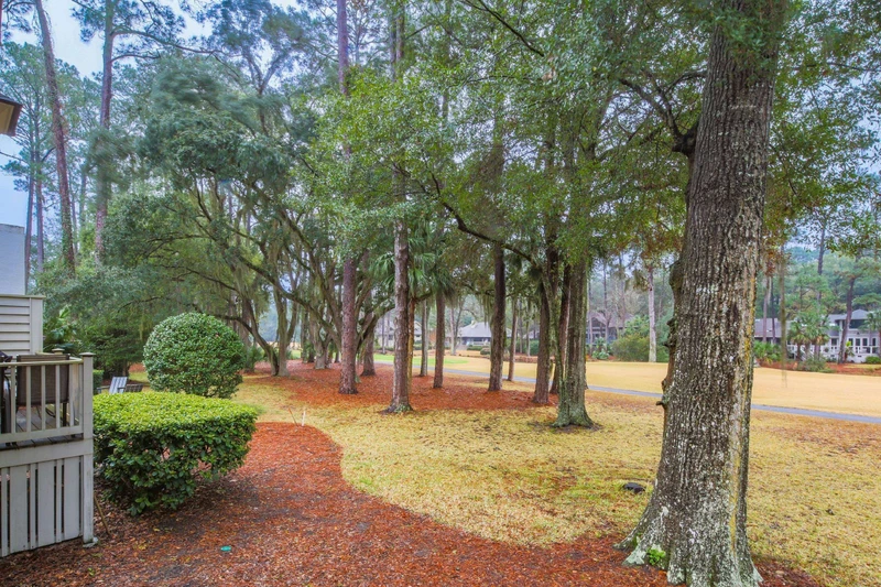 There are trees separating the fairway from the home's backyard.