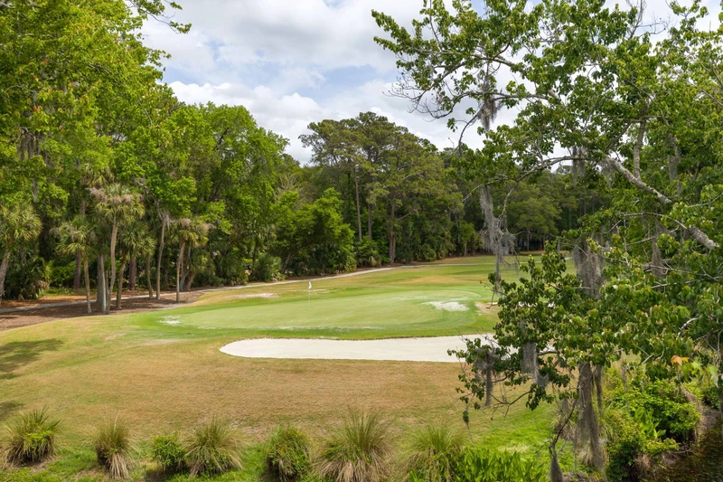 A Golfers Delight